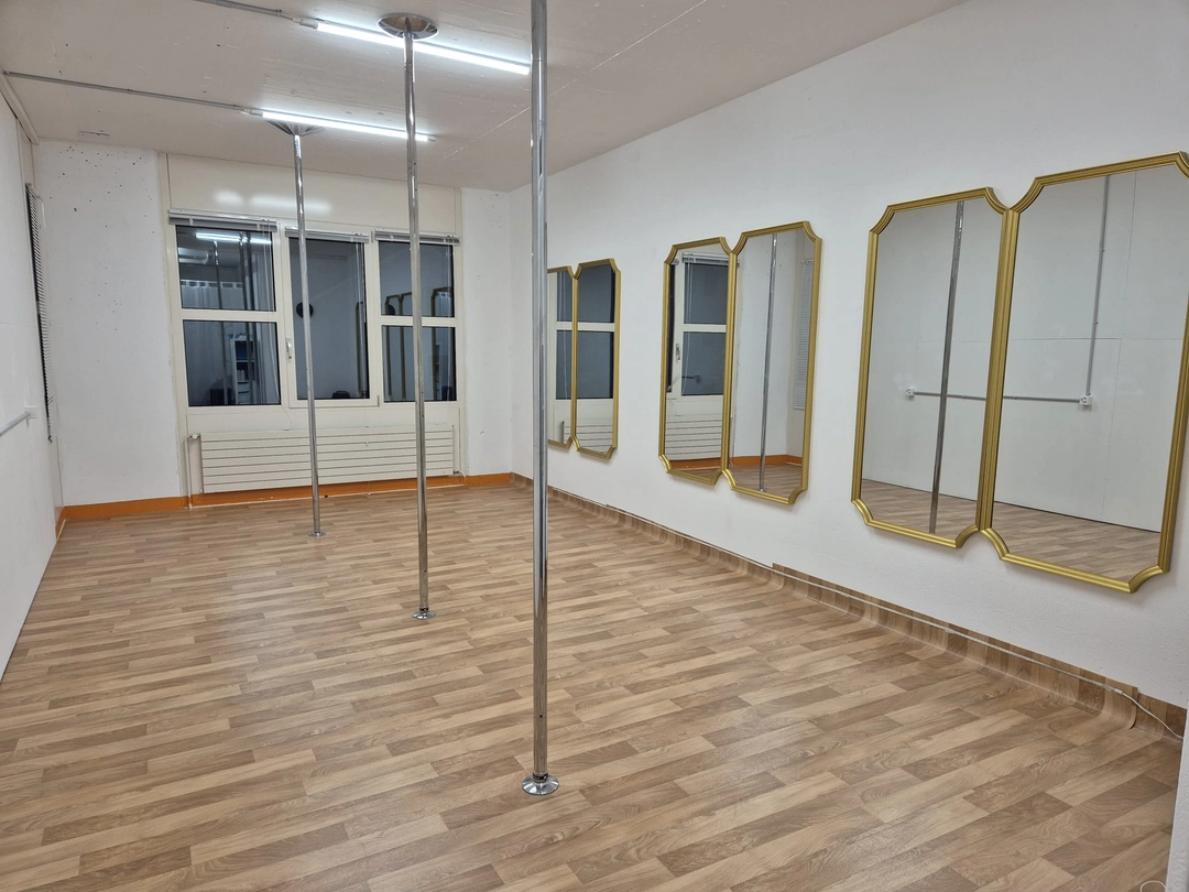Bild aus dem Studio von Souldance Polestudio